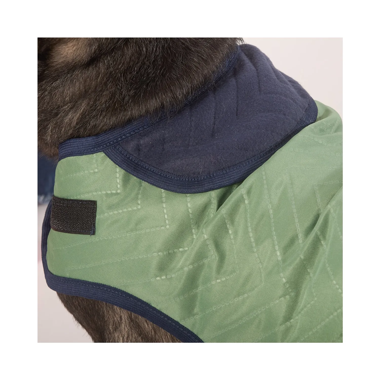 Capa Dupla Face Verde Fábrica Pet